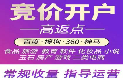 百度推广实战：成功案例解析